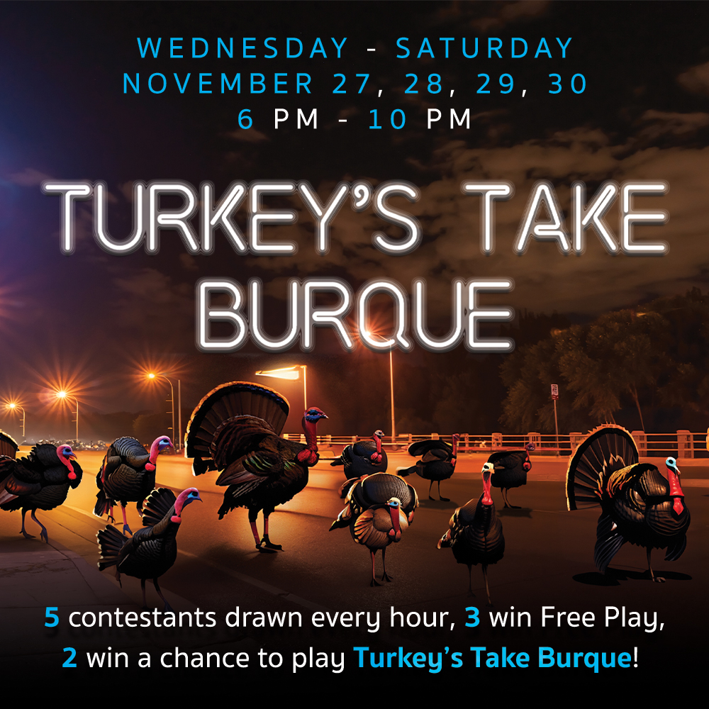 Turkey's Take Burque