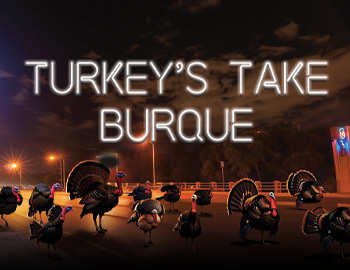 Turkey's Take Burque Promotion