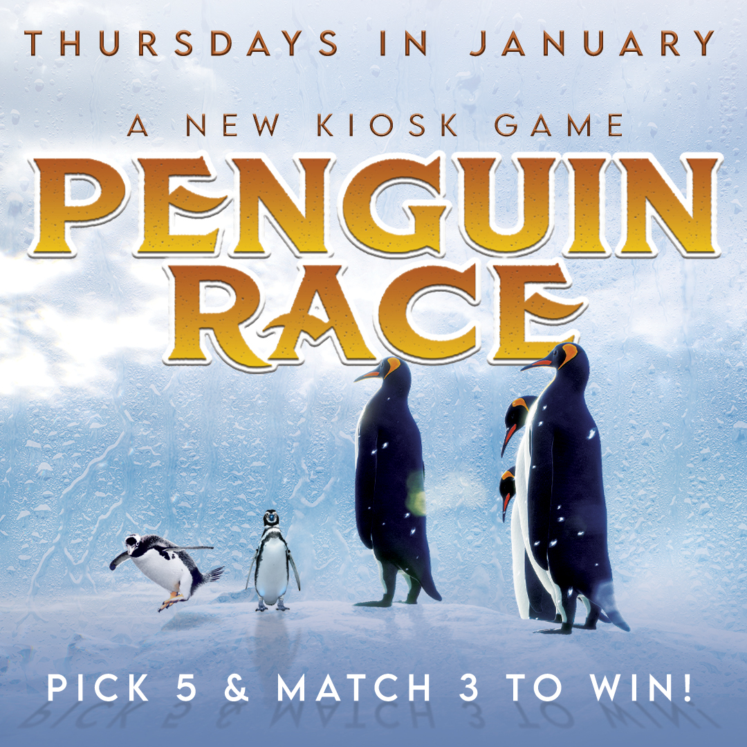 Penguin Race New Kiosk Game Every Thursday